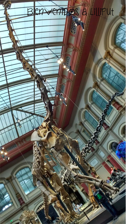Museo Historia Natural Berlín