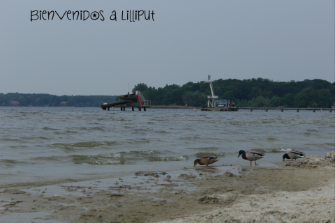 Playa Wannsee