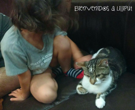 MAscota en Normandia