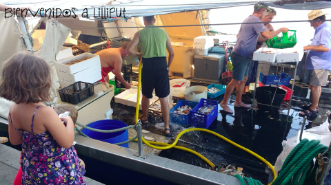 Llegada barcos de pesca en Cambrils