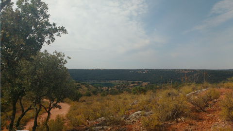 Comienzo de la ruta, bosque mediterráneo