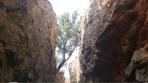 La Quebrada del Toro