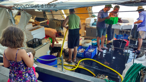 Aprendiendo el arte de la pesca en Cambrils
