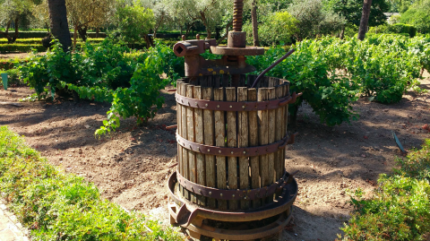 Real Jardín Botánico de Córdoba