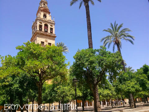 Torre de la Mezquita desde el Patio de los Naranjos