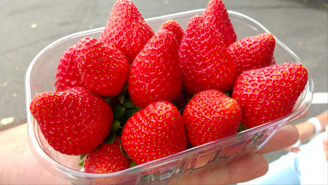 Fresas, Normandia