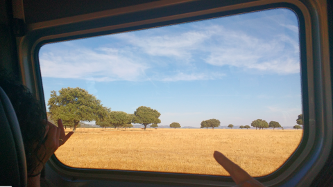 Desde el interior del 4x4