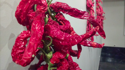 Pimientos de La Vera (Cáceres)