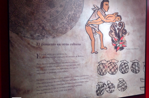 Museo del Pimentón