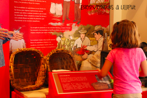 Museo del Pimentón en La Vera