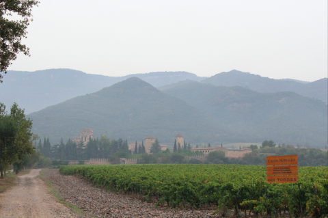 Monasterio de Poblet, Muntanyes de Prades con niños