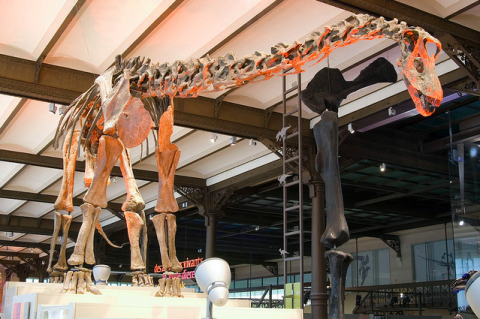 Museo de Ciencias, Museos en FLandes para ir con niños
