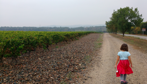 Geocaching por los alrededores del Monasterio de Poblet con niños
