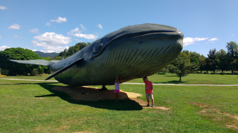 Arboretum Kamnik, Eslovenia con niños